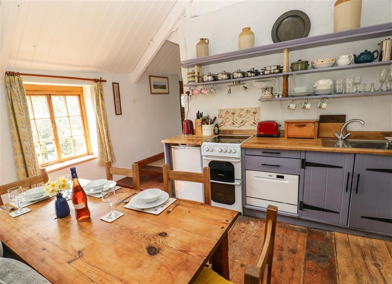 Kitchen at Penyrallt Fach Cottage, Pentre-Cwrt