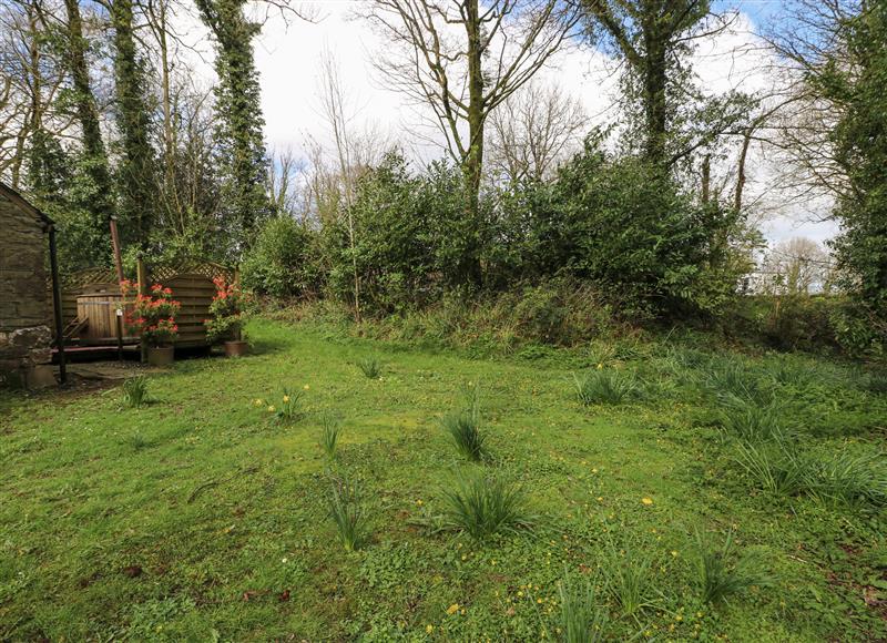 The area around Penyrallt Fach Cottage