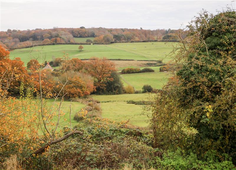 Rural landscape at Peppermint Cottage, Petworth
