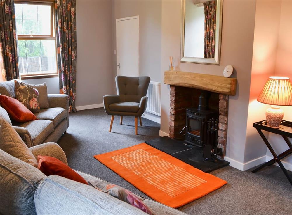 Comfy living room with wood burner at Perch Hall Cottage in Johnston Bridge, near Lockerbie, Dumfries and Galloway, Dumfriesshire