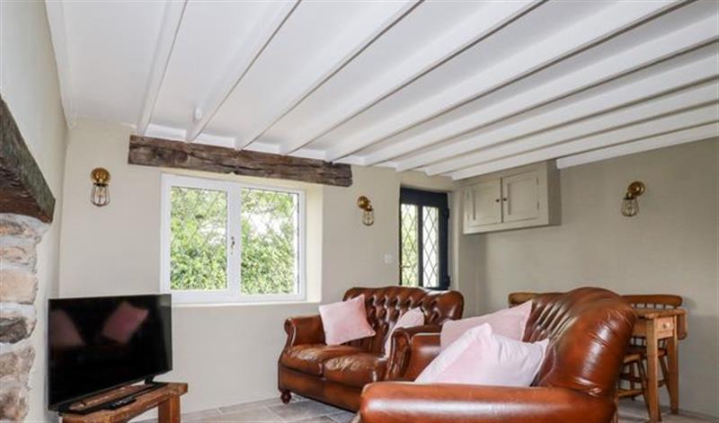 Enjoy the living room at Perranglaze, Rose near Perranporth