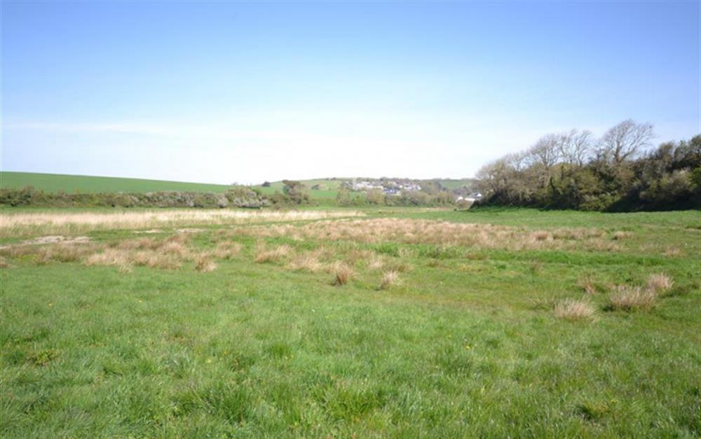 The nature reserve with West Charleton village in the background at Petersfield in West Charleton
