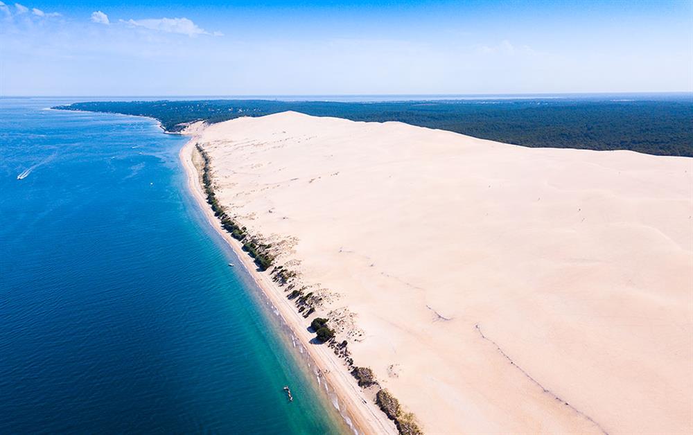 A photo of Petit Pilat
