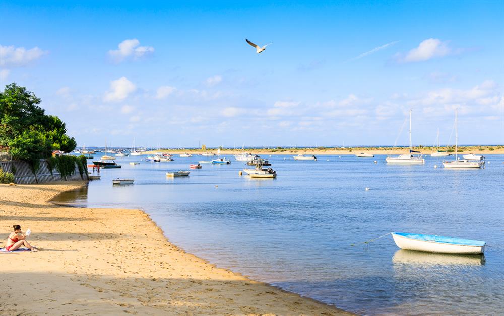 A photo of Petit Pilat