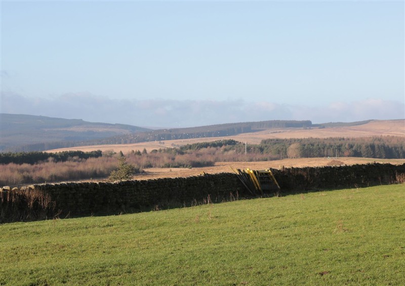 Enjoy the garden at Petty Knowes Cottage, Rochester near Otterburn