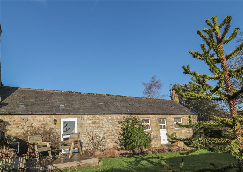 Outside Petty Knowes Cottage at Petty Knowes Cottage, Rochester near Otterburn