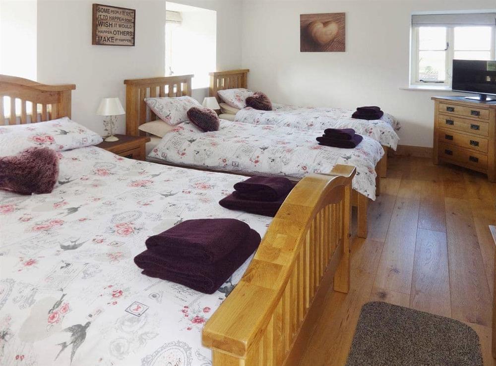 Roomy double bedroom with TV and additional single beds at Pheasant Fields in Lloc, near Holywell, Clwyd