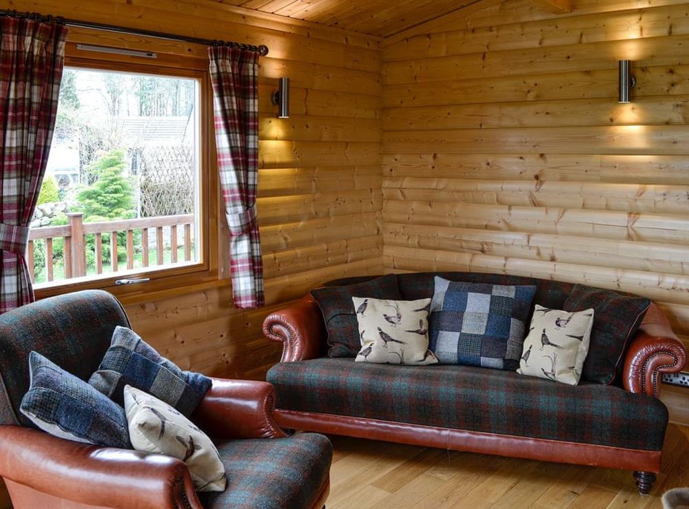 Cosy living room at Pheasant Lodge in Longtown, near Carlisle, Cumbria