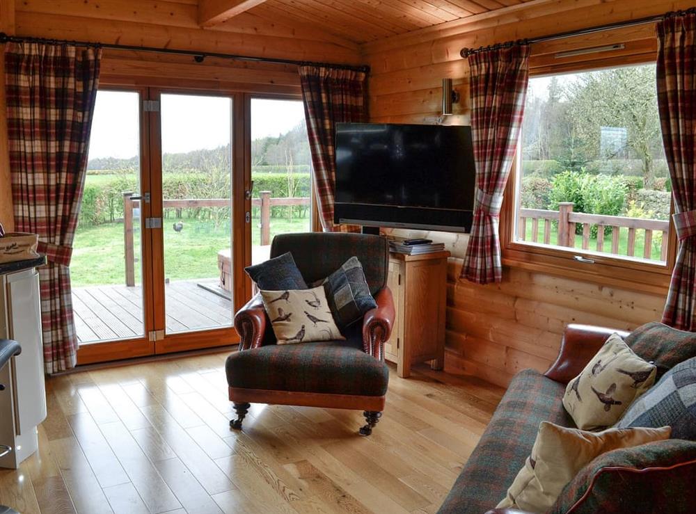 Living room at Pheasant Lodge in Longtown, near Carlisle, Cumbria