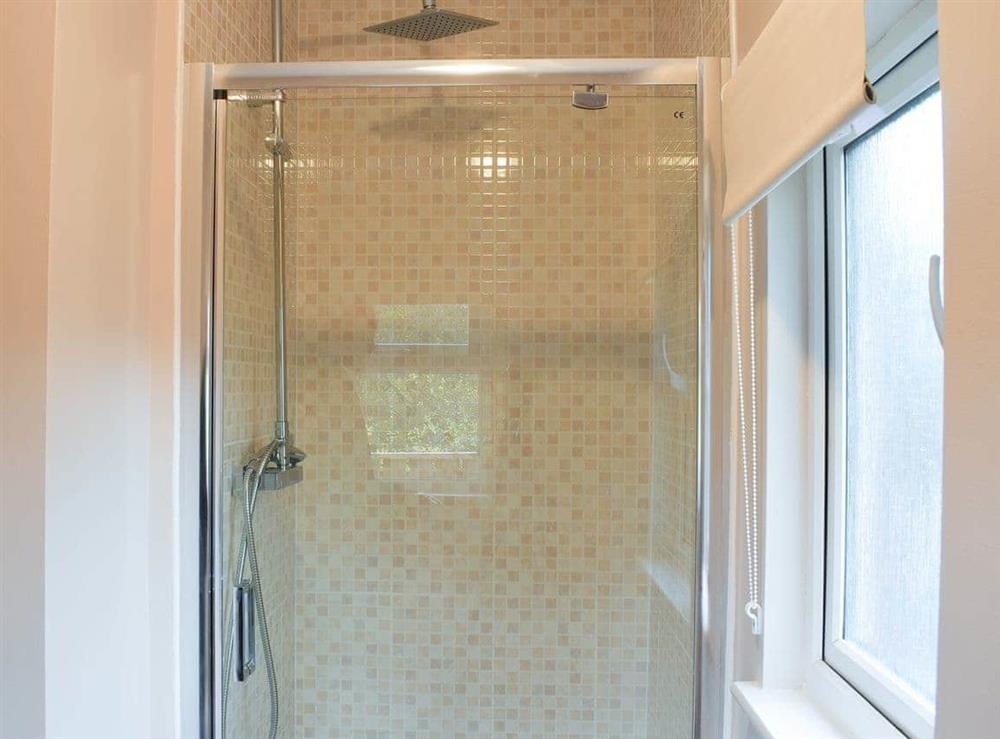 Shower room with cubicle at Pheasant Lodge in Staithes, near Whitby, North Yorkshire