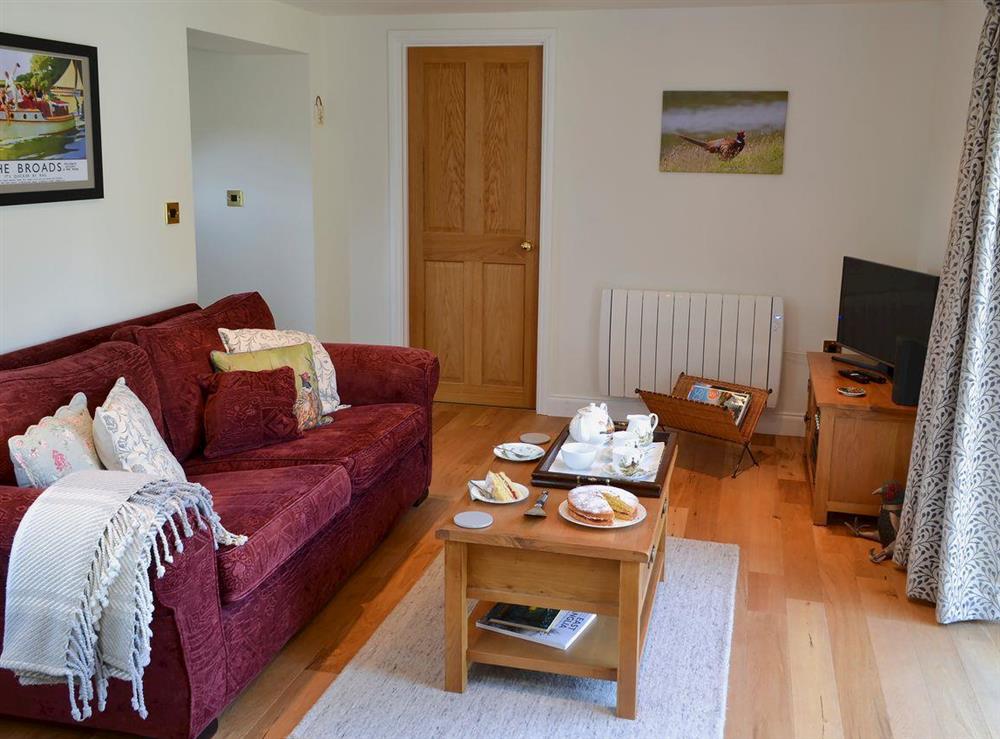 Cosy living area at Pheasant Lodge in Welborne, near Dereham, Norfolk