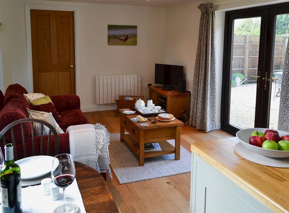 Excellent open plan living space at Pheasant Lodge in Welborne, near Dereham, Norfolk