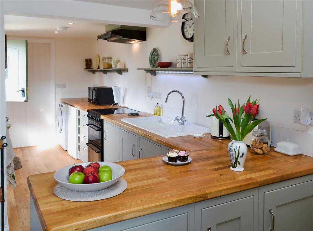 Well-equipped kitchen area at Pheasant Lodge in Welborne, near Dereham, Norfolk