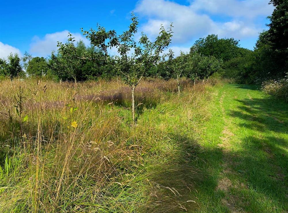 Surrounding area at Pheasants Wander in Summercourt, near Newquay, Cornwall