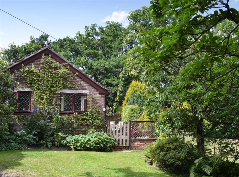 delightful single storey cottage at Picket Hill Cottage in Picket Hill, near Ringwood, Hampshire