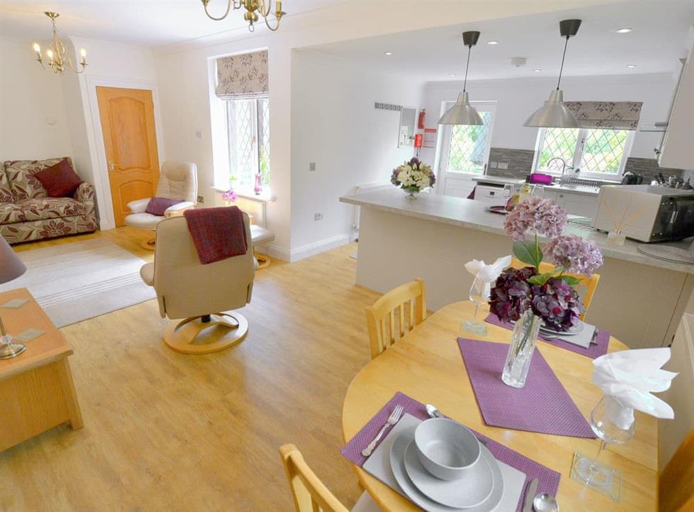 Open plan living space at Alices Lodge, 