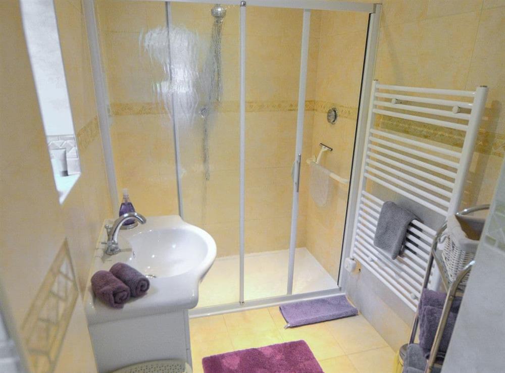 Shower room at Alices Lodge, 