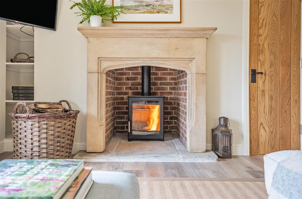 The wood burning stove at Piddle Cottage at Piddle and Puddle, Dorchester