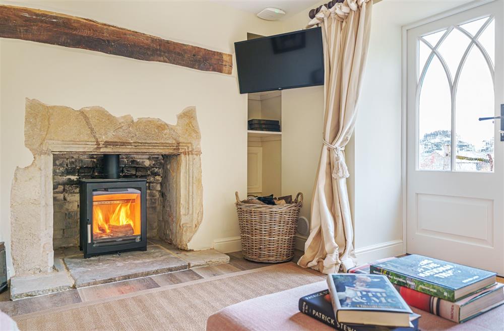 The wood burning stove at Puddle Cottage at Piddle and Puddle, Dorchester