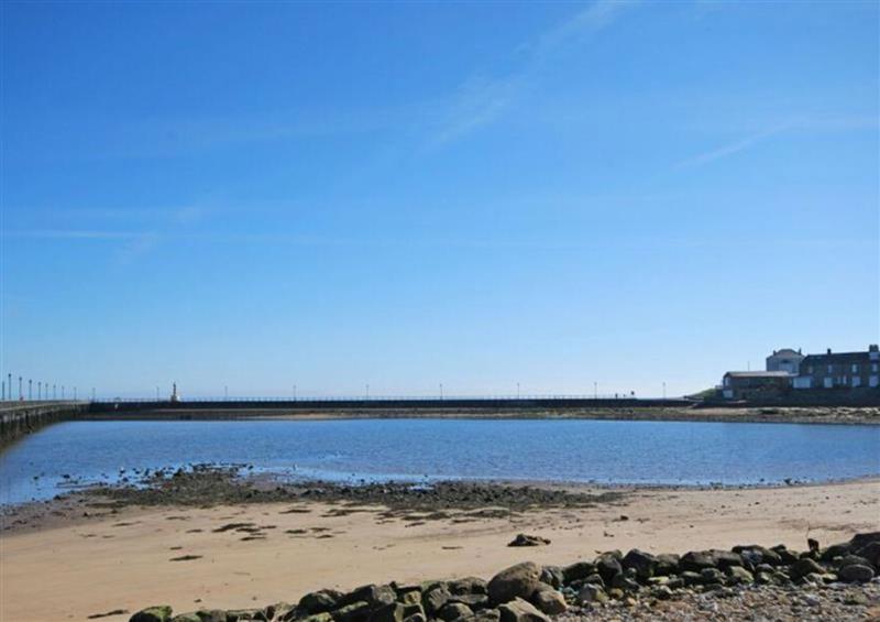 The area around Pier View at Pier View, Amble