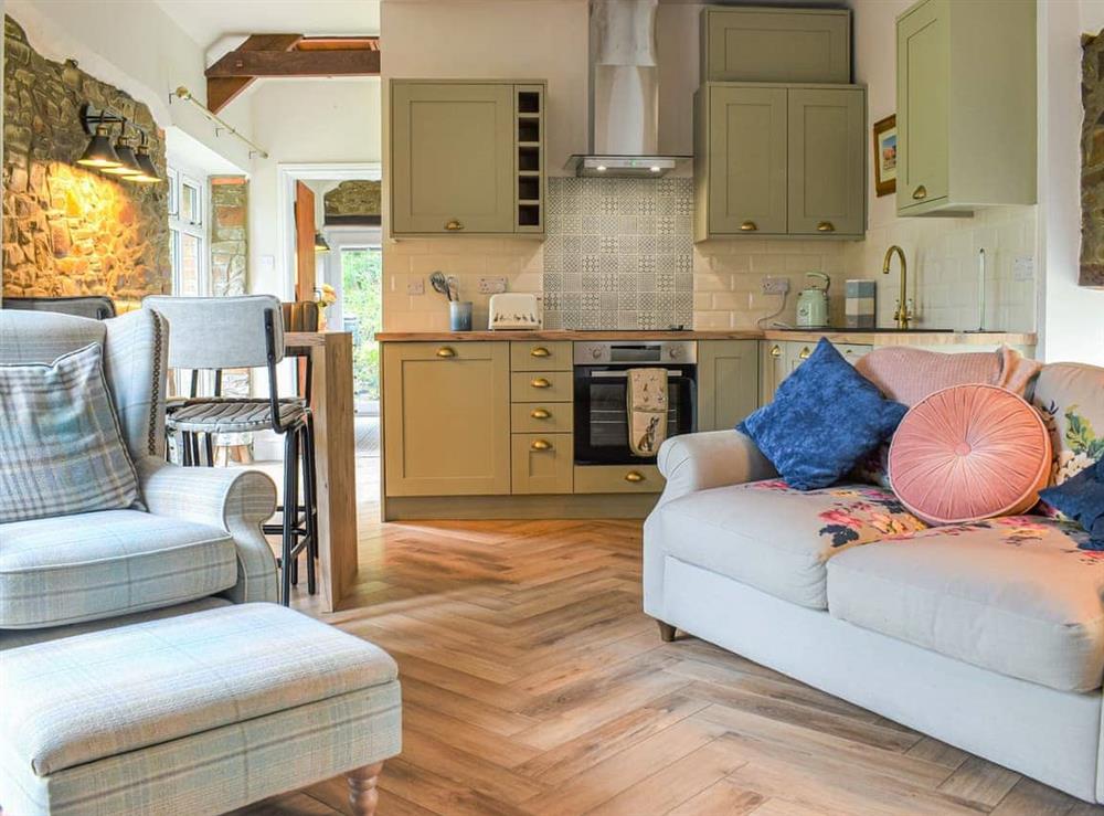 Open plan living space at Pigaway Cottage in Petrockstow, Devon