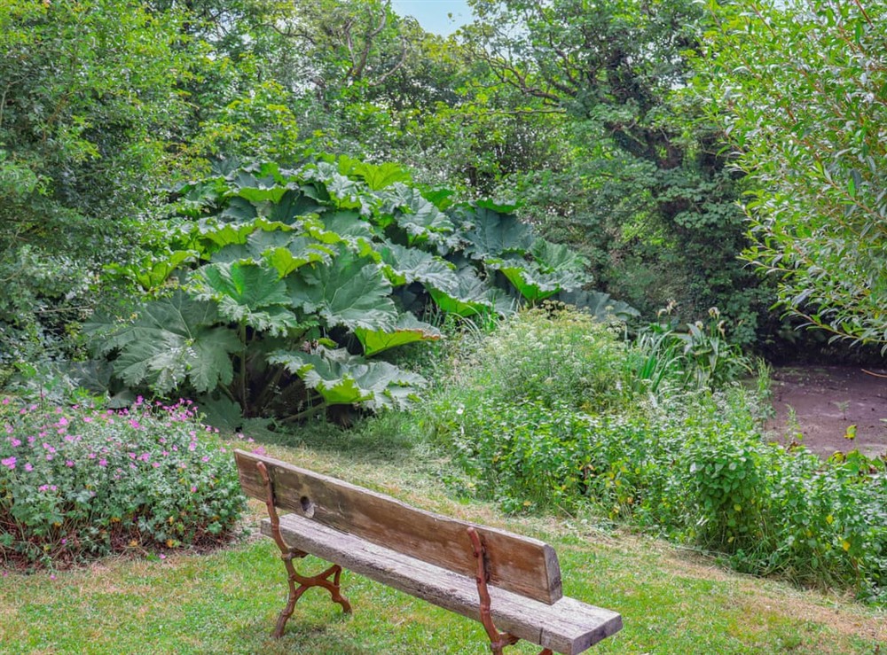 Sitting-out-area (photo 2) at Piggery in Fishguard, Dyfed