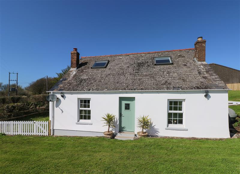 The garden in Piglet Cottage at Piglet Cottage, St Ishmaels near Milford Haven