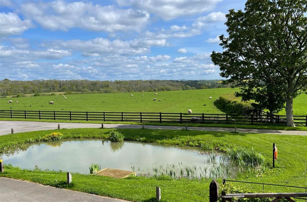 The countryside view