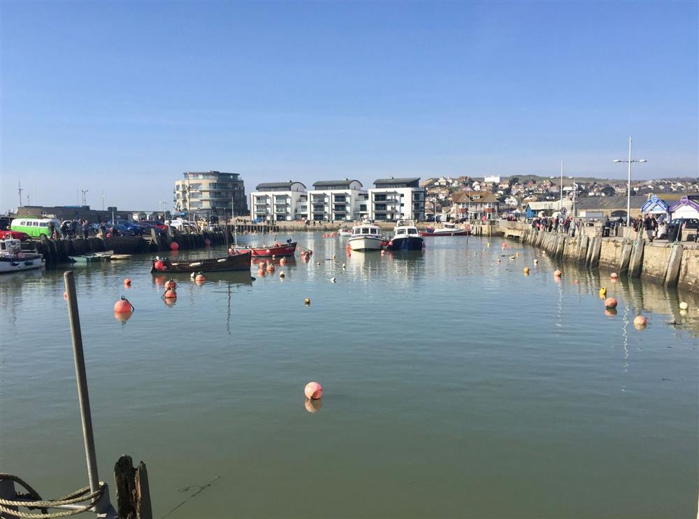 Enjoy a trip to West Bay harbour