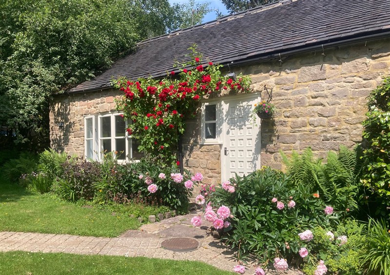 This is the setting of Pigwig Cottage at Pigwig Cottage, Longway Bank near Crich