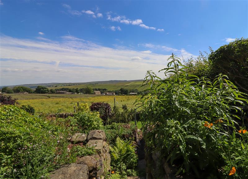 Rural landscape