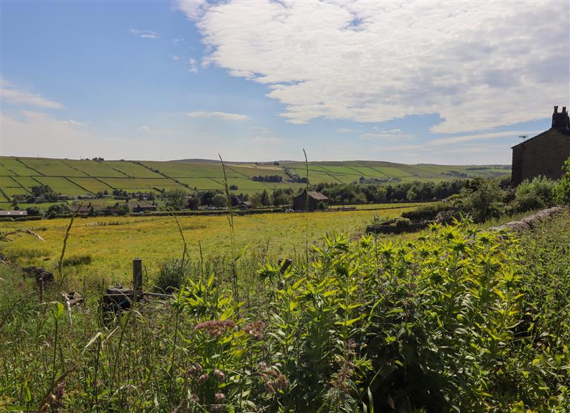 The area around Pike View Cottage