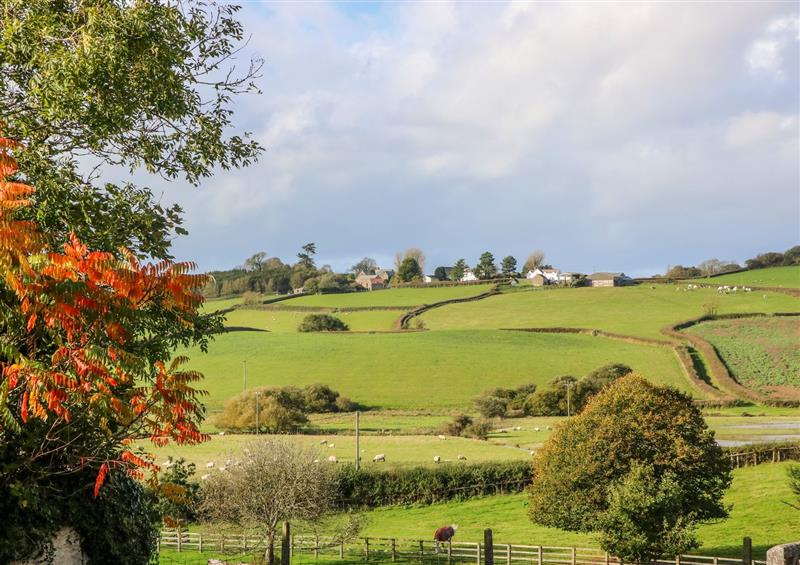 Rural landscape (photo 2) at Pillhead Cider House, Bideford