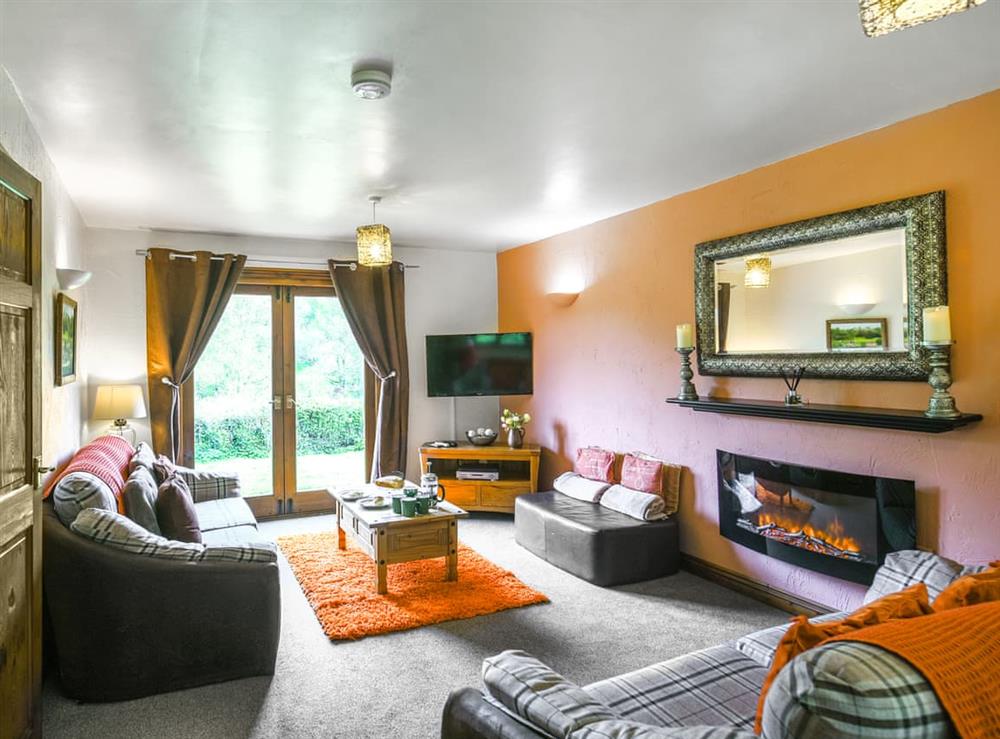 Living area (photo 2) at Pine Lodge in Bridgnorth and Ironbridge, Shropshire