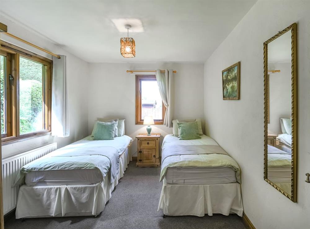 Twin bedroom (photo 2) at Pine Lodge in Bridgnorth and Ironbridge, Shropshire
