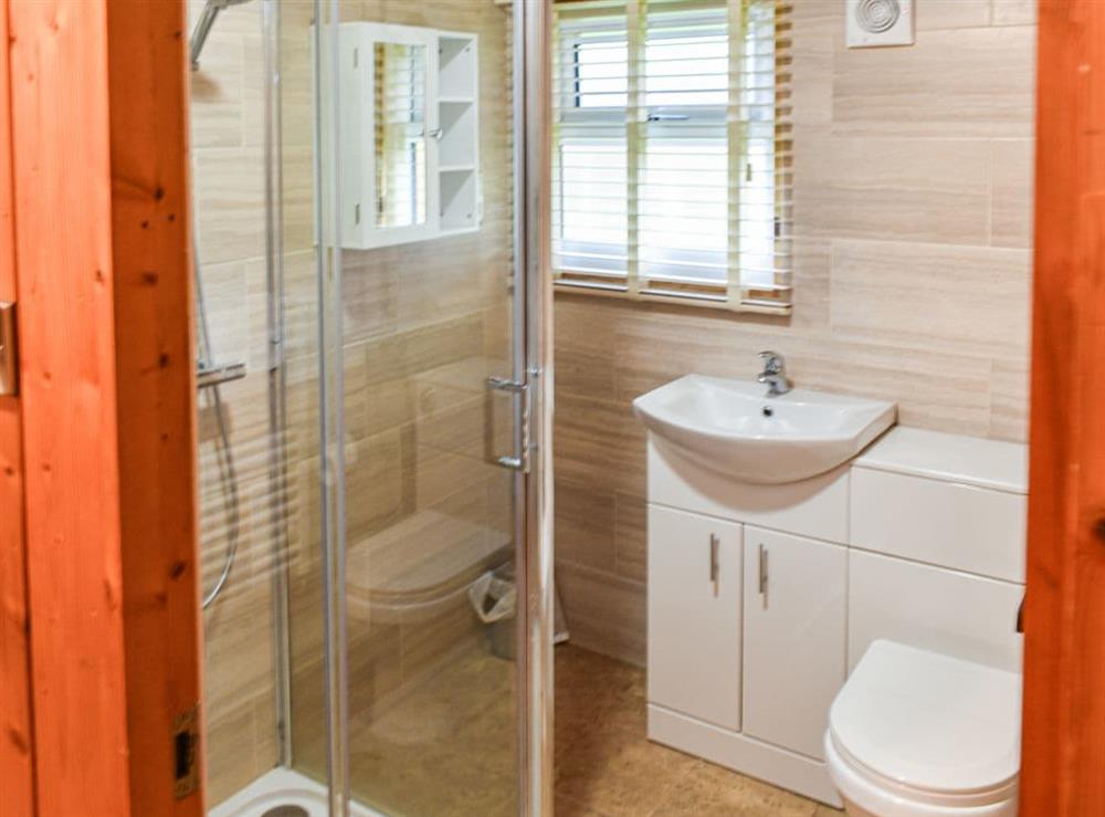 Shower room at Pine Lodge in Charlcot, near Masham, Yorkshire, North Yorkshire