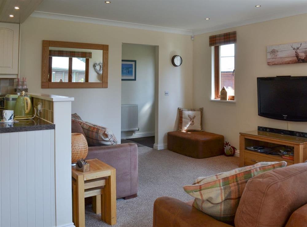 Open plan living space at Pine Lodge in Flamborough, near Bridlington, North Humberside