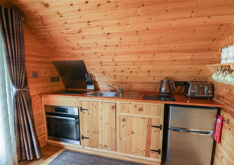Kitchen at Pine Lodge, Llanddeusant near Llandovery