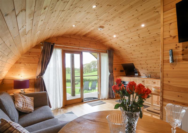 The living area at Pine Lodge, Llanddeusant near Llandovery