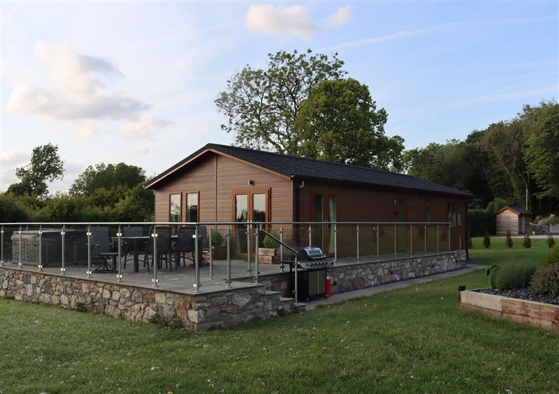 The garden at Pine Lodge, Lloc near Caerwys