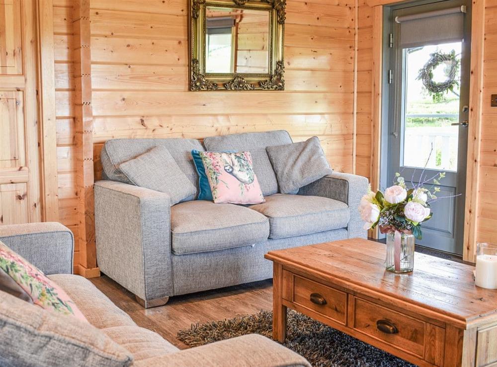 Living area at Pine Lodge in Ulverston, Cumbria