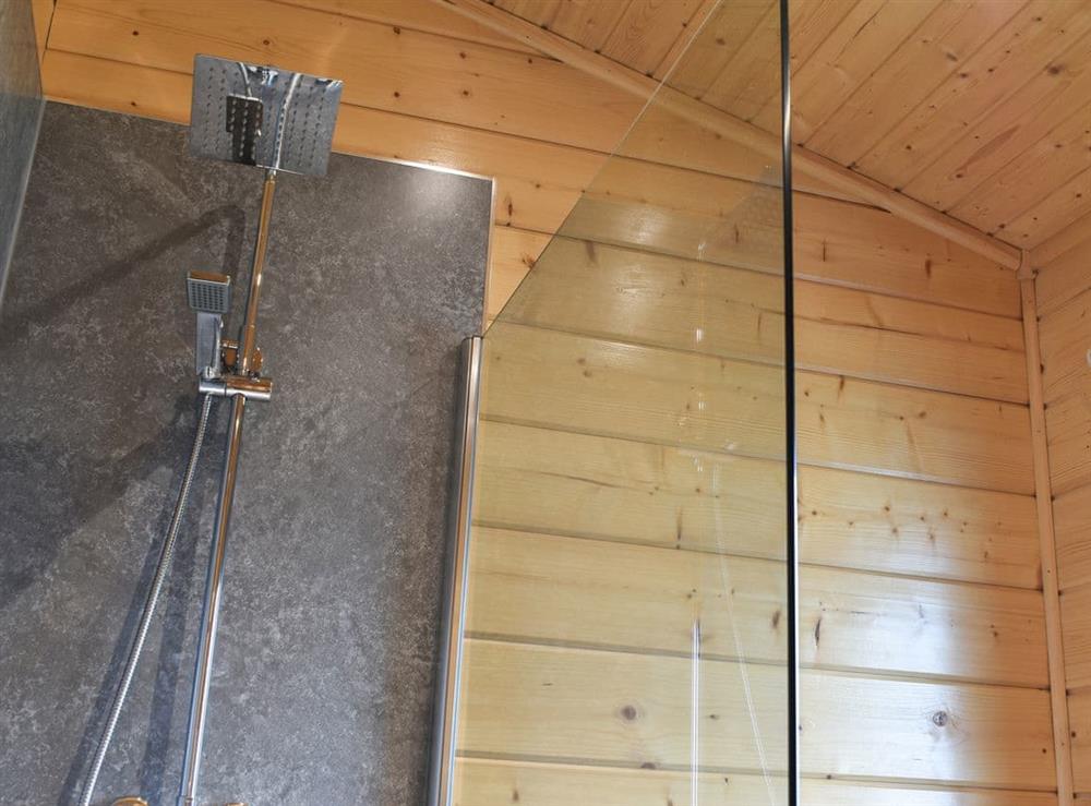 Shower room at Pine Lodge in Ulverston, Cumbria
