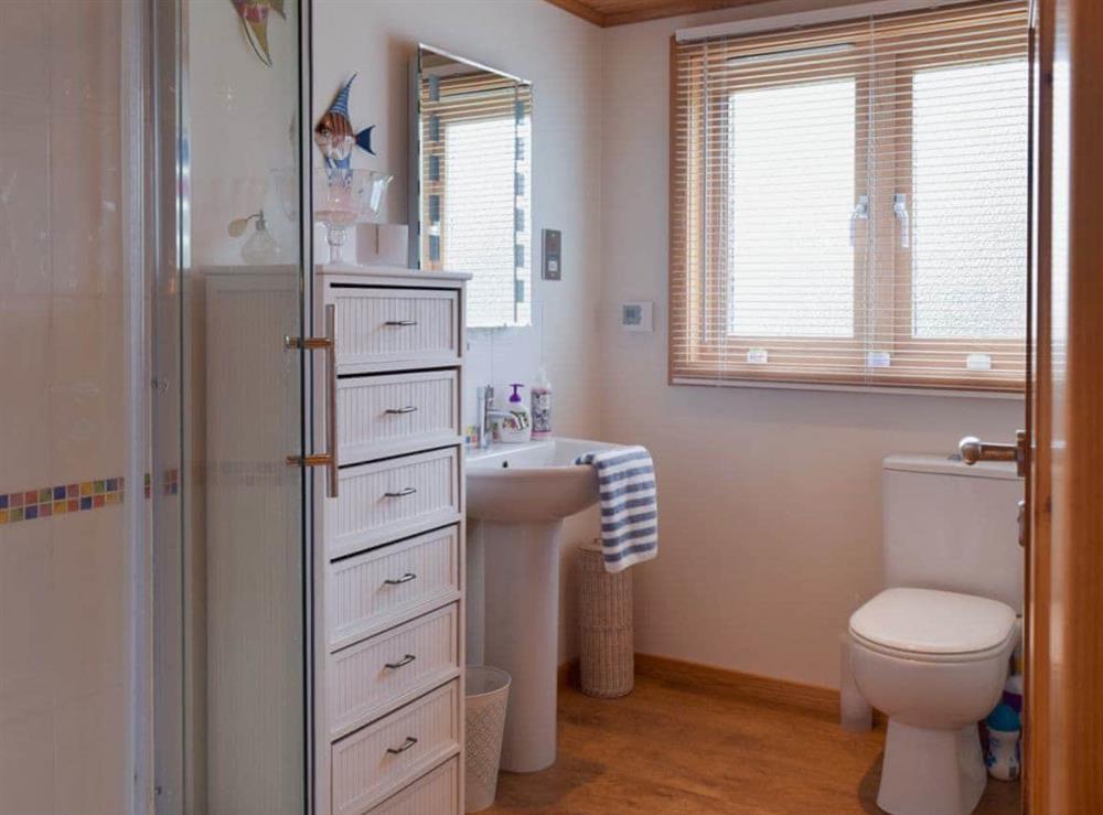Shower room at Pine View in Fritton, near Great Yarmouth, Norfolk