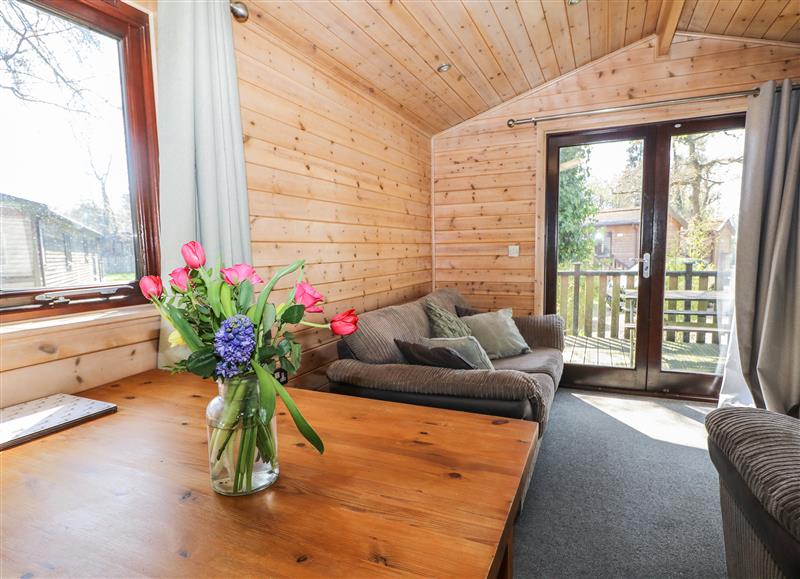 Relax in the living area at Pinecone Cabin, Godshill