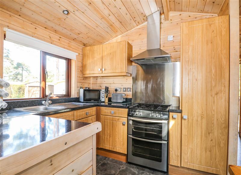 This is the kitchen at Pinecone Cabin, Godshill