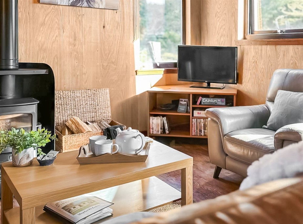Open plan living space at Pinecone Cabin in Tweeddale, near Peebles, Peebleshire