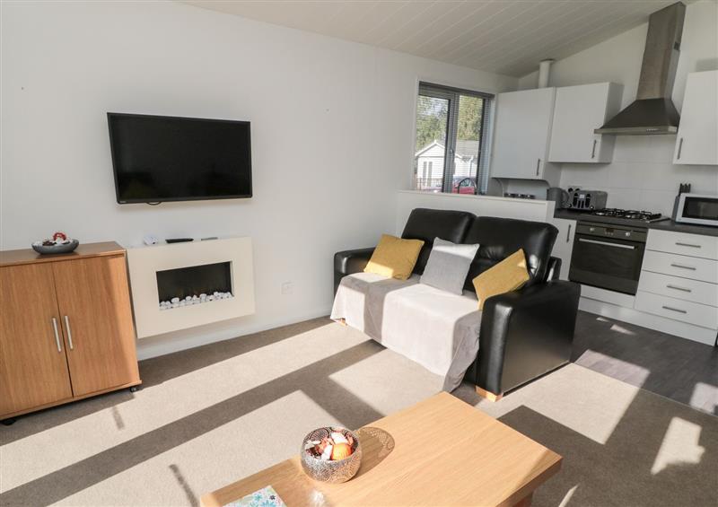 Enjoy the living room at Pinecone Lodge - No 9, Felmoor Park near Felton
