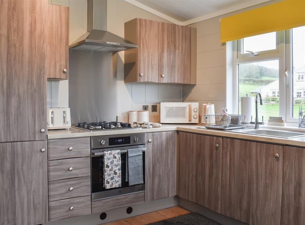 Kitchen area at Pines Lodge in Holywell, Clwyd