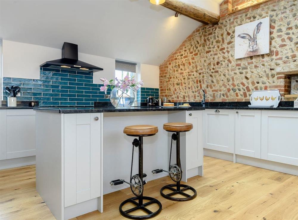 Contemporary kitchen area (photo 4) at Pipistrelle Barn in North Walsham, Norfolk