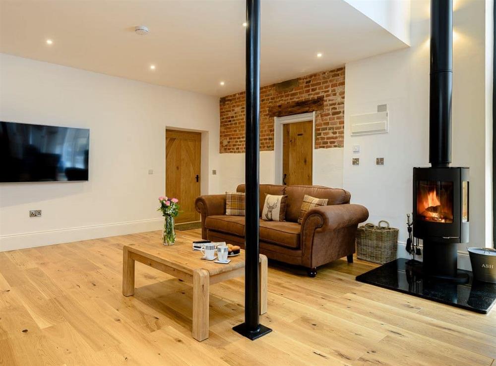Stylish living area with multi-fuel burner at Pipistrelle Barn in North Walsham, Norfolk